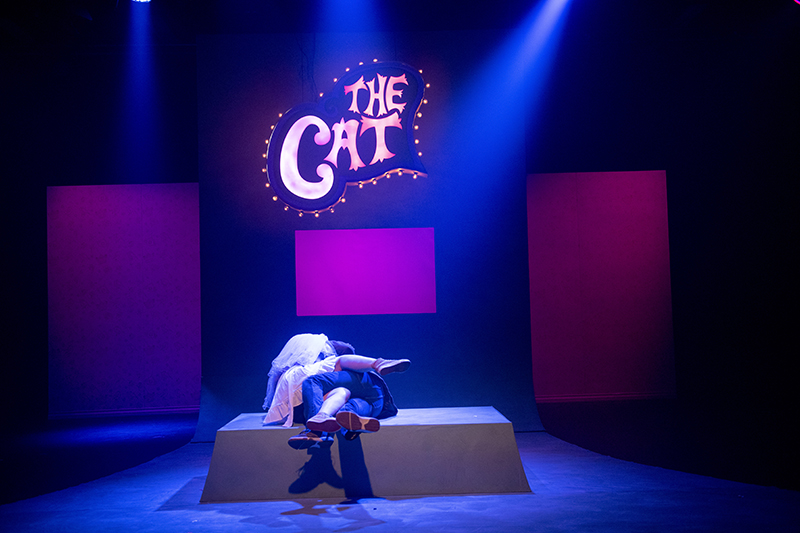 The Cat 2
