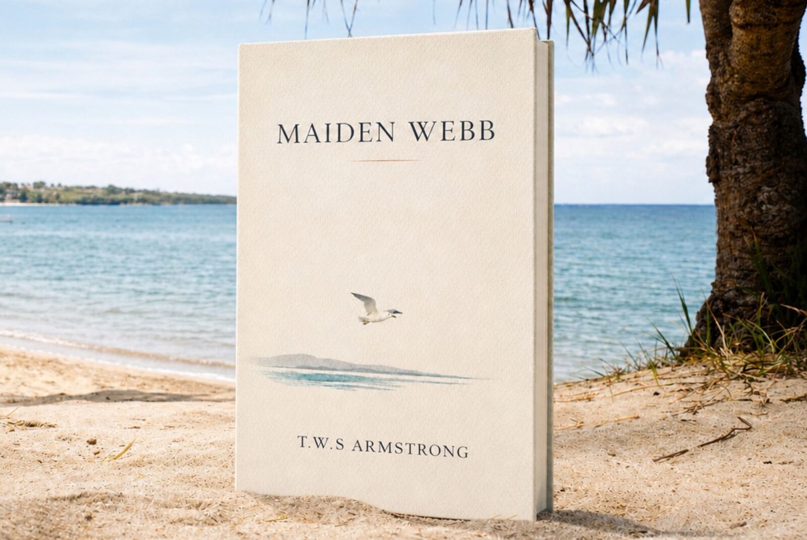 A book on a beach. The title is 'Maiden Webb'