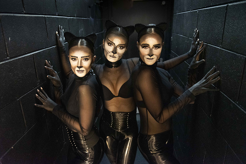 Cats musical-inspired characters