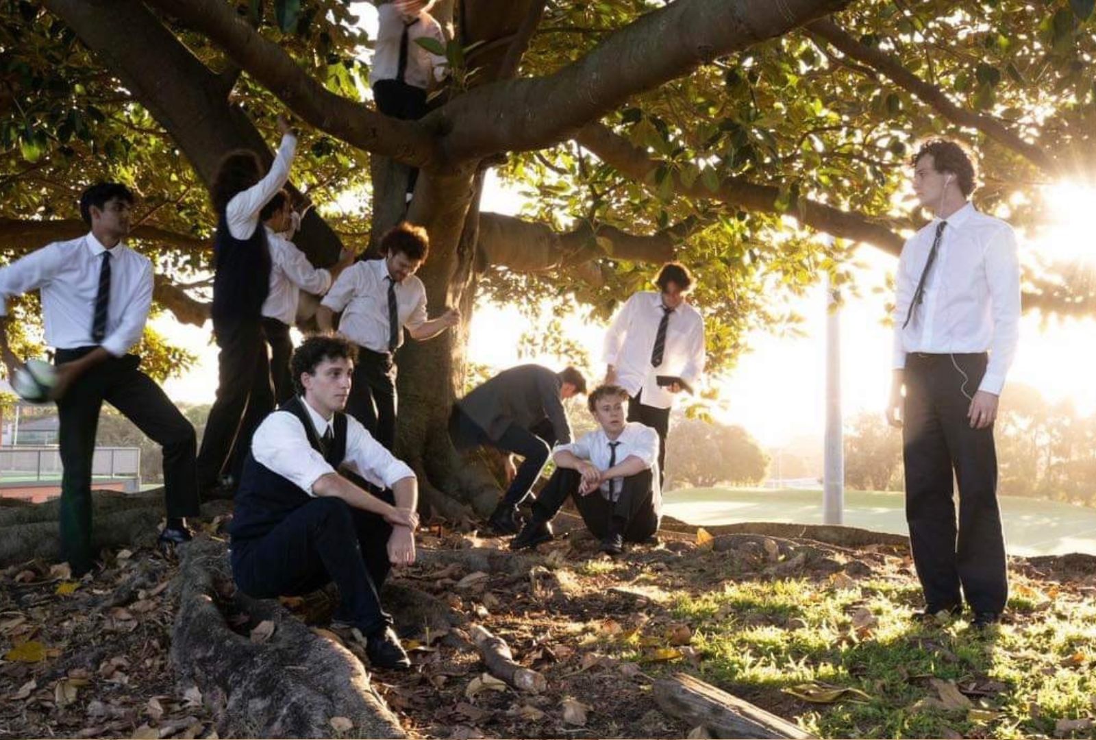 Original Cast of 'All Boys' dressed in uniforms and hanging out under a large fig tree. Some are sitting, others are climbing the tree and two students are playing with a football.